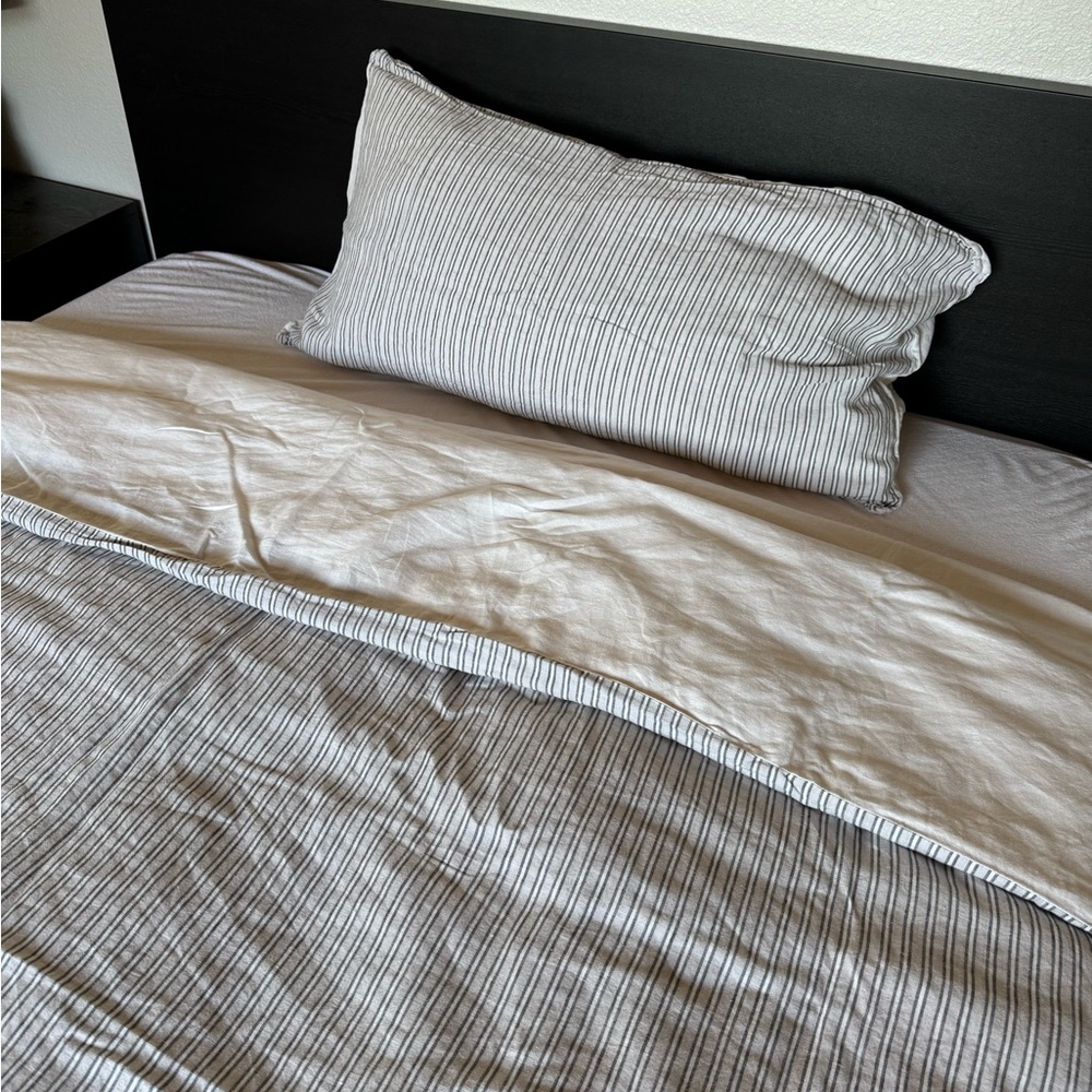 West Elm linen full/queen duvet and 1 king pillow sham